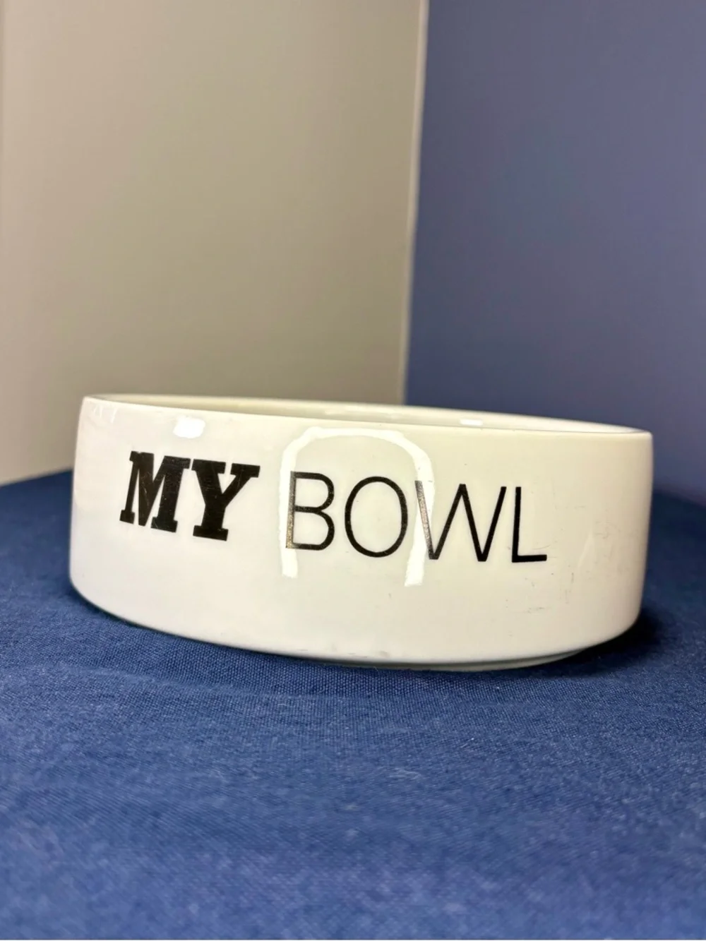 Vintage Cartoon Odie Ceramic Bowl with 